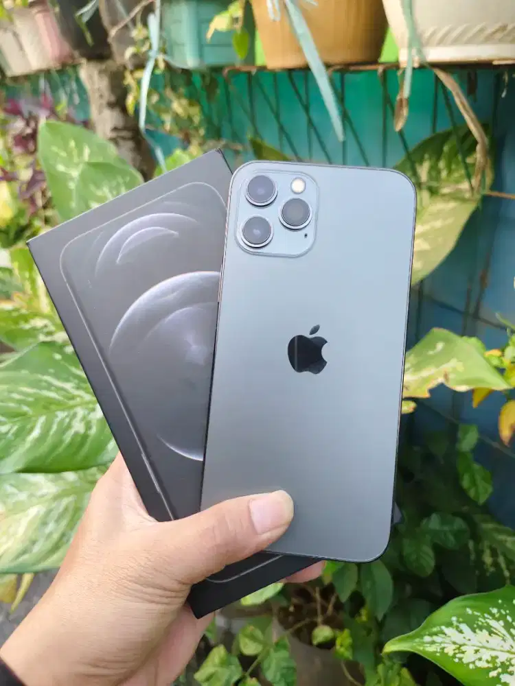 Iphone 12 PM 256 Digimap