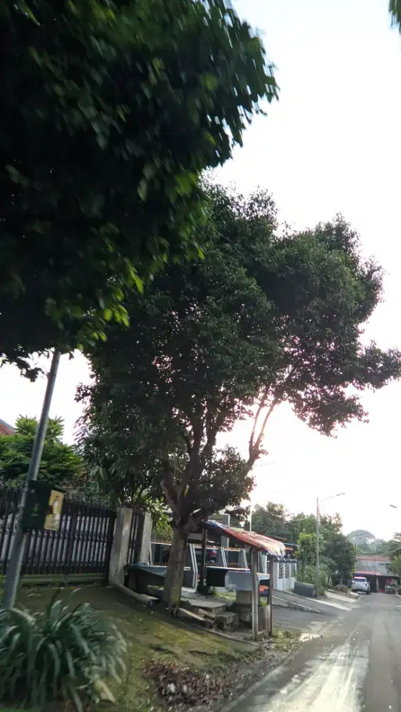 Buruh cuci piring, setrika baju, sapu ngepel