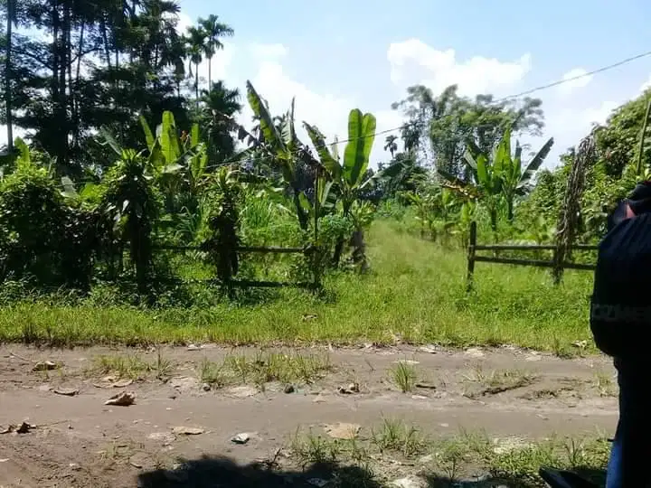 Di jual tanah di Pancur batu