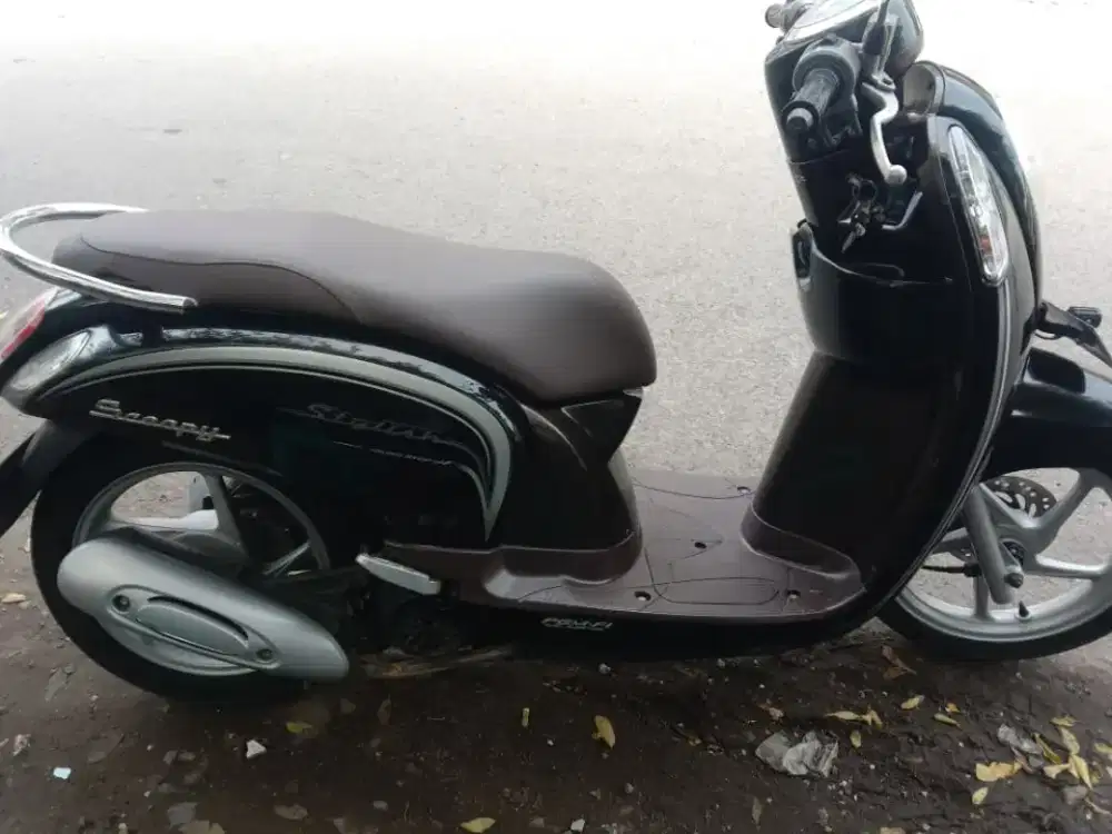 Scoopy stylish th 2016 mulus pjk hidup