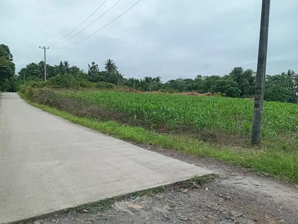 Dijual murah Tanah surat SHM