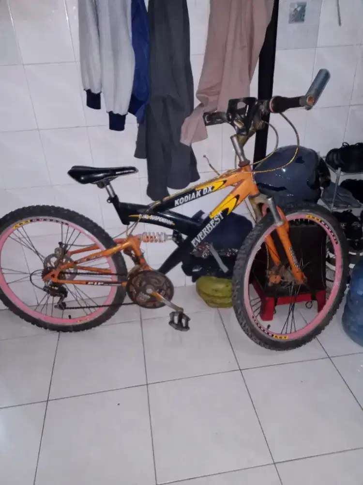 Sepeda gunung EVERBEST size 26 double cakram