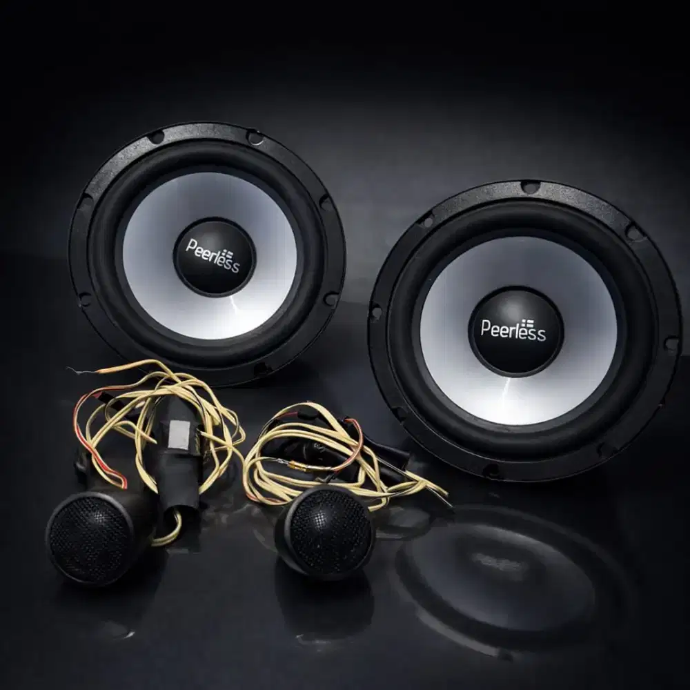Speaker PEERLESS mid 6 asli Denmark