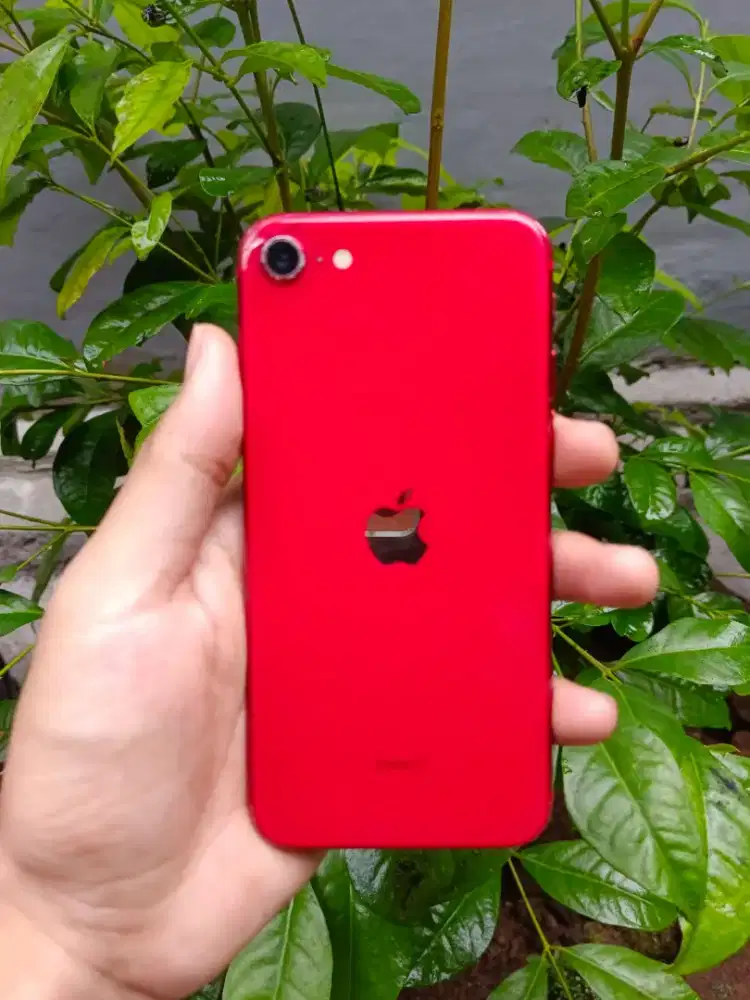 iPhone SE 128GB digimap