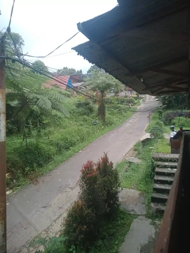 Menawarkan jasa care giver byr seikhlasnya(masih batas  wajar/bs nego)