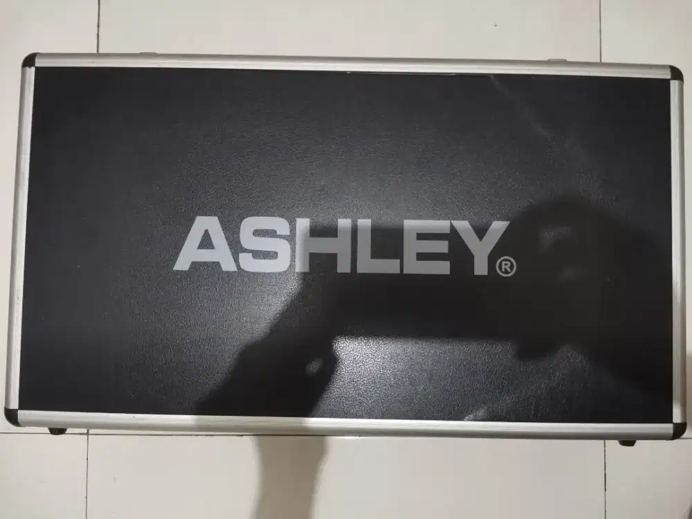 Mic wirelless Ashley original