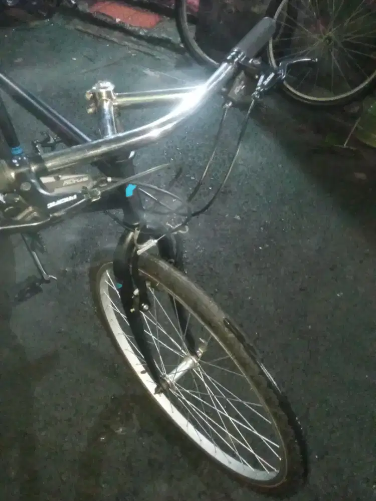 Vintage federal CYCLE 2005