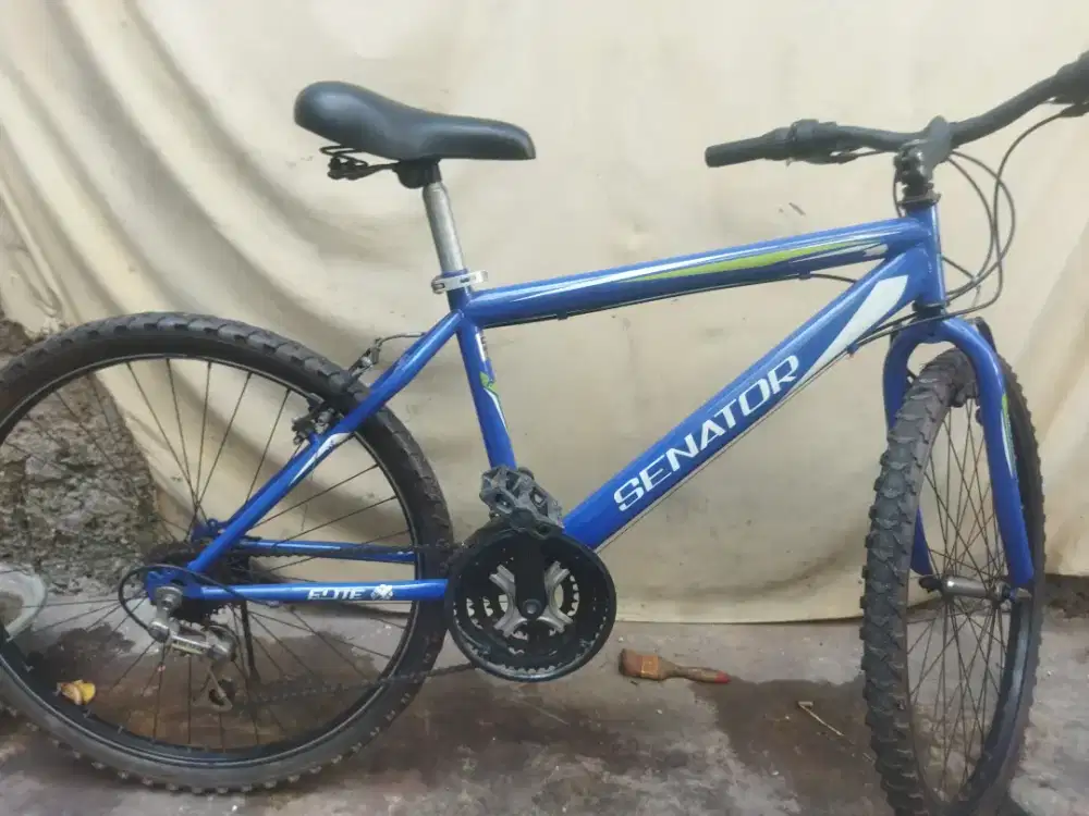 Sepeda gunung senator 26