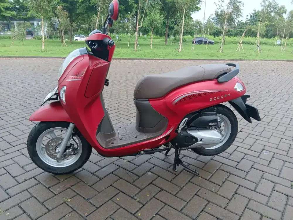 Scoopy pristage istimewaaaa grees