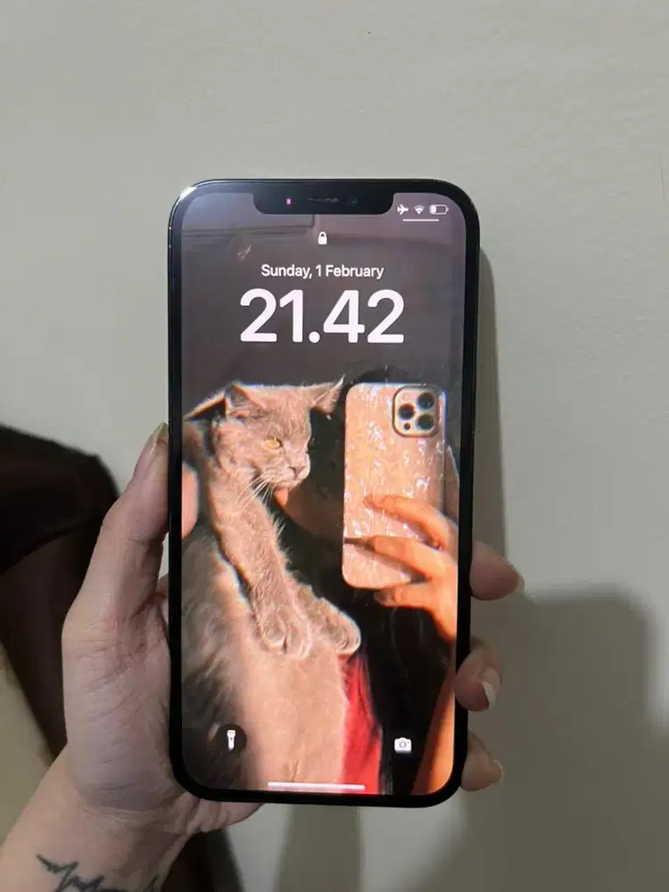 Iphone 12 Promax 256GB Digimap