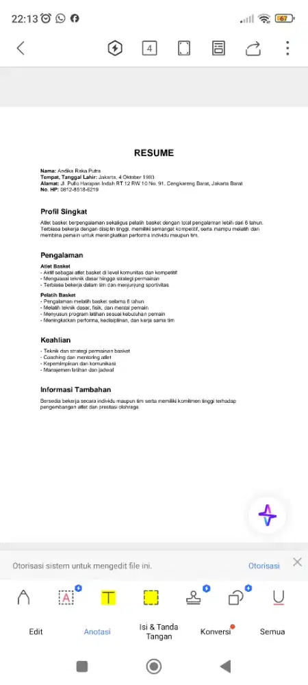 Driver mobil/supir pribadi