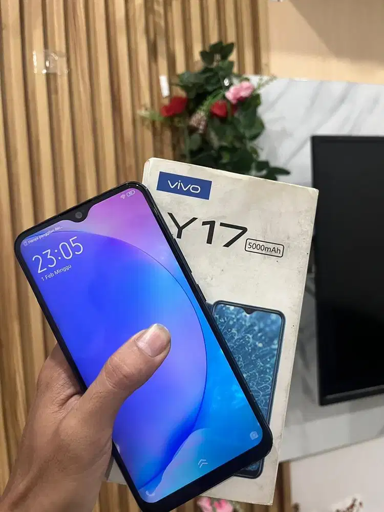 Vivo Y17 8/256.
