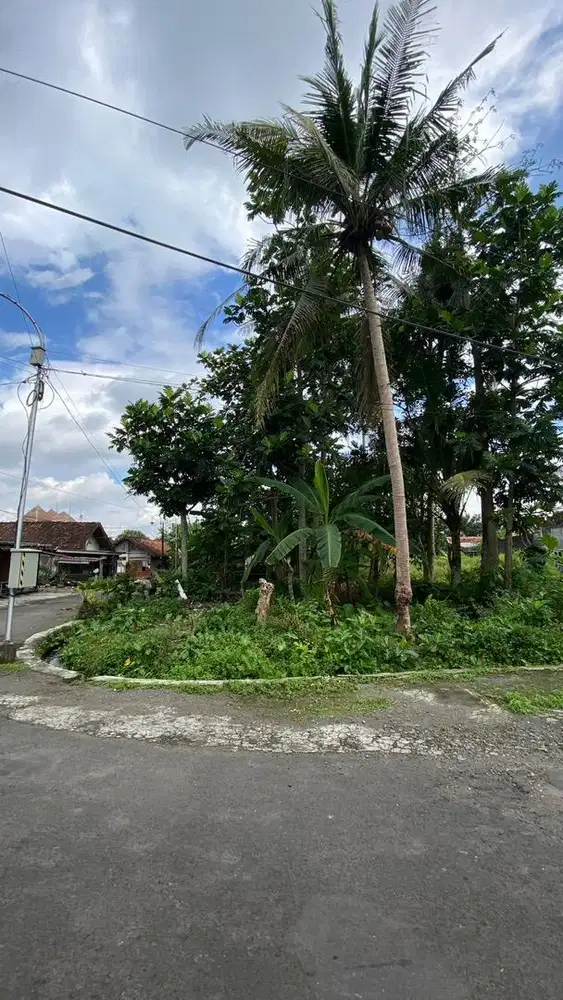 Tanah Murah Gamping Sleman