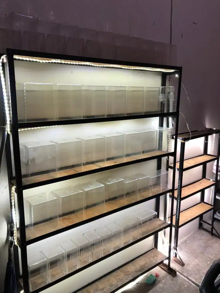 Jual Cepat Rak Cupang Bekas 2 Pcs