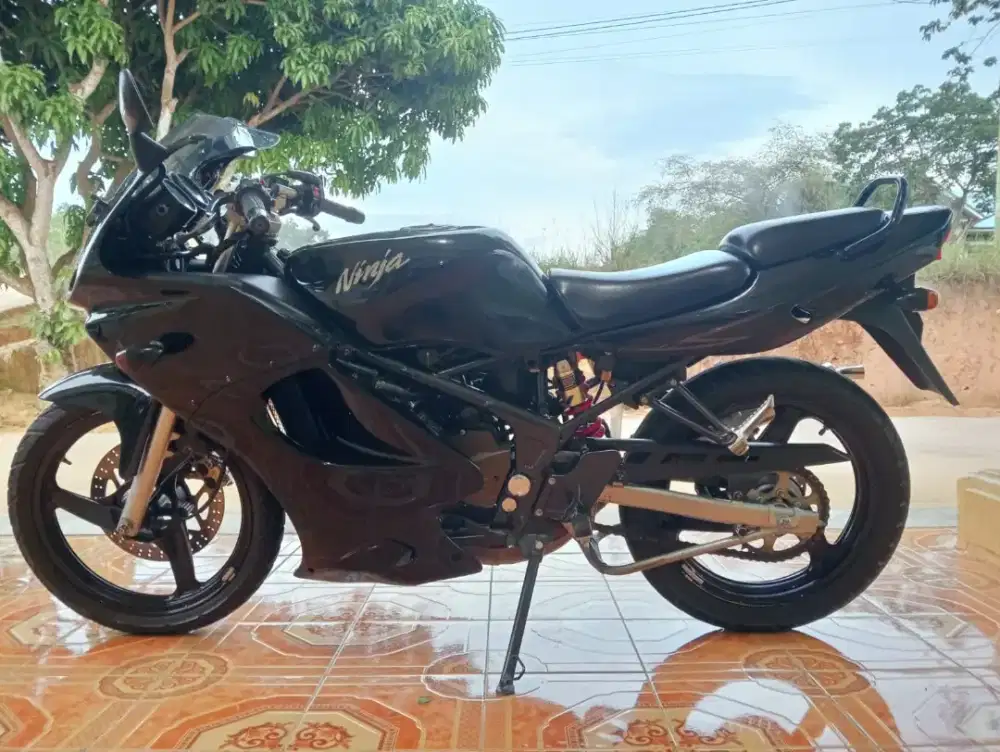 Ninja RR 2011 original