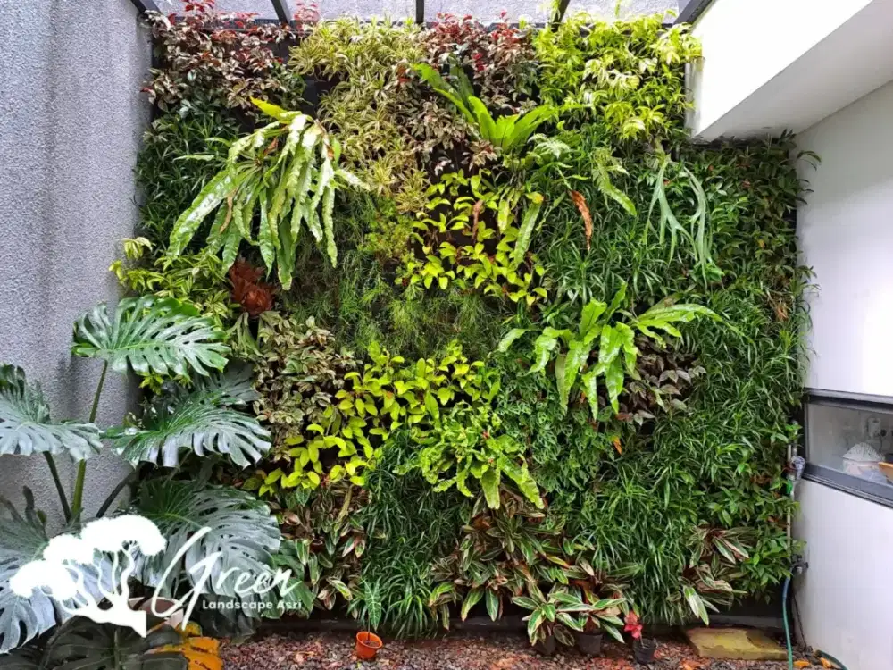 Jasa Taman Vertikal Garden Murah Dan Berkualitas