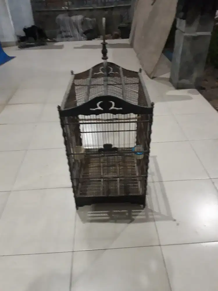 Kandang burung bekas masih kokoh