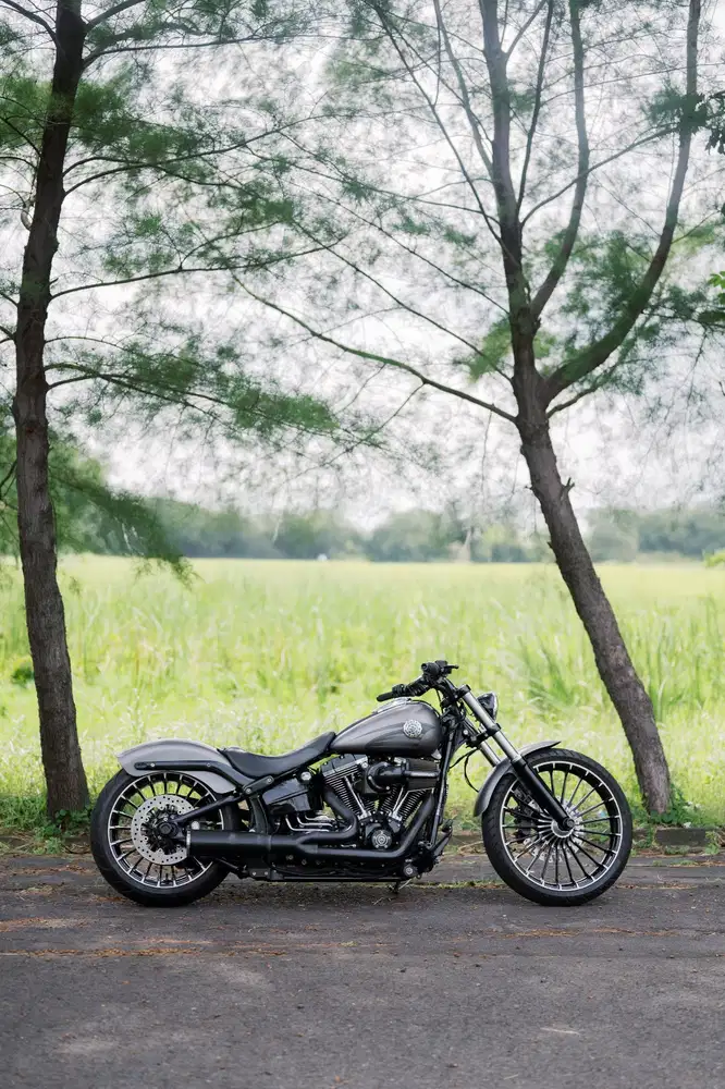 Harley Davidson Softail Breakout 2017