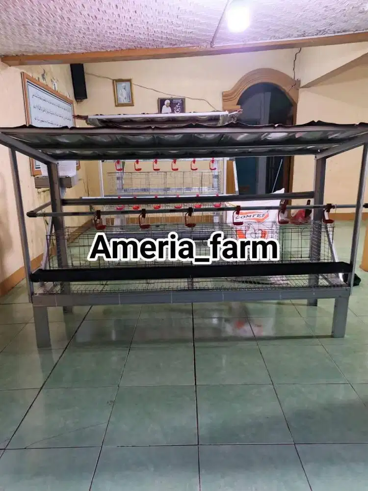 Kandang Ayam Galvanis Pintu 6 Isi 12 Ekor Ayam
