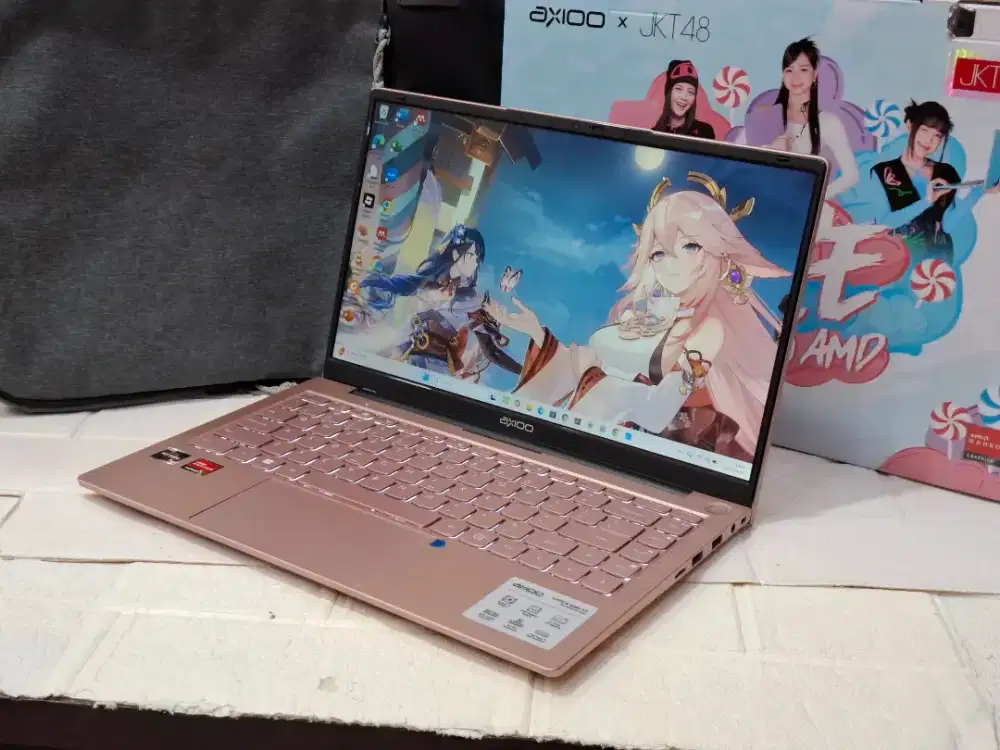 LAPTOP AXIOO Hype 5 AMD X3 /AMD Ryzen 5-3500U/RAM 8 GB/SSD 256GB