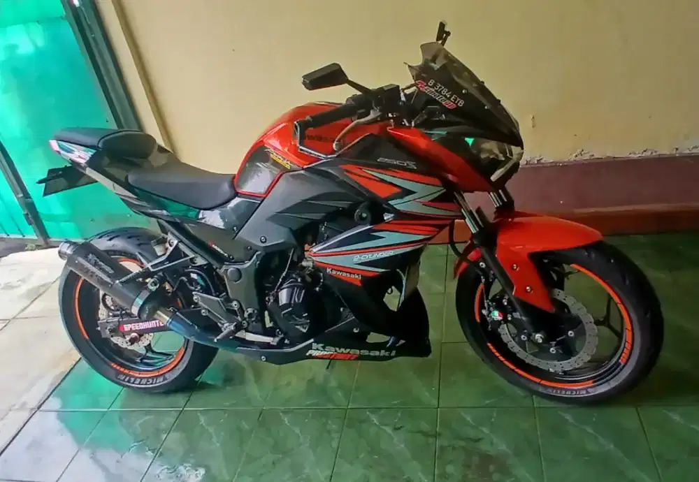 Kawasaki Z250 (2017)