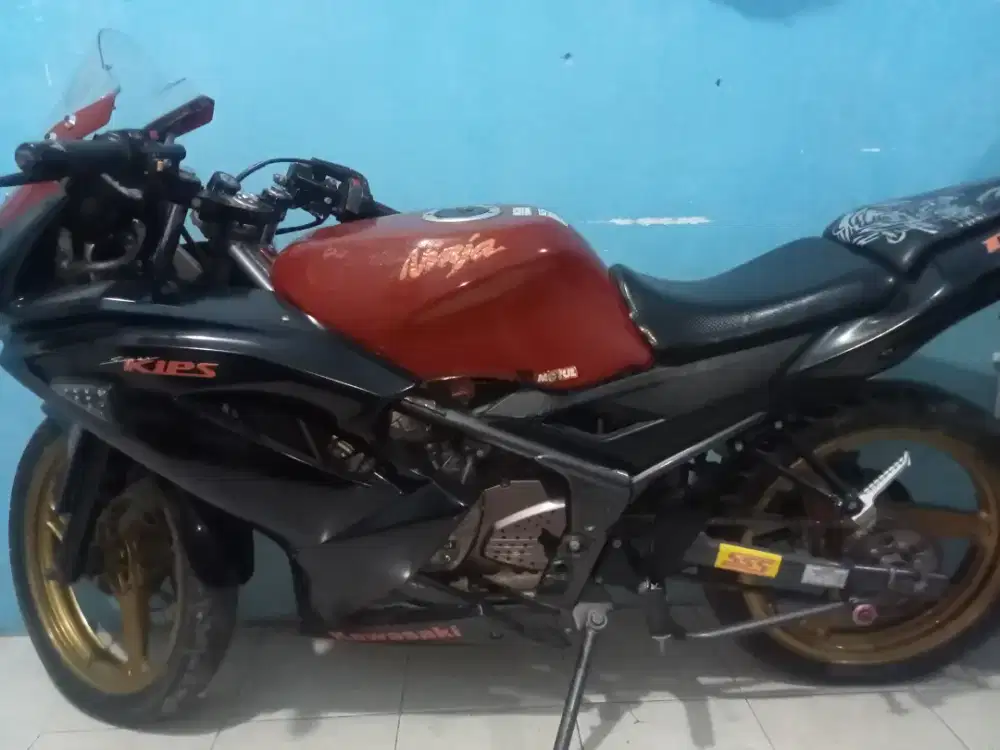 Ninja rr 2015 second