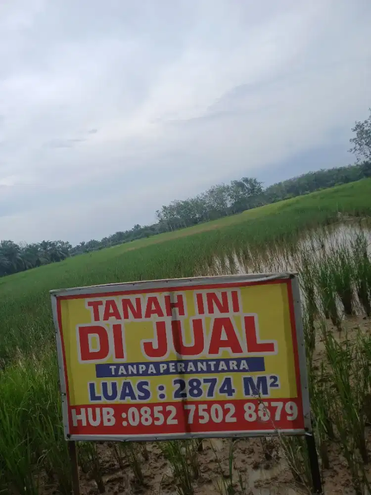 DIJUAL MURAH TANAH SAWAH