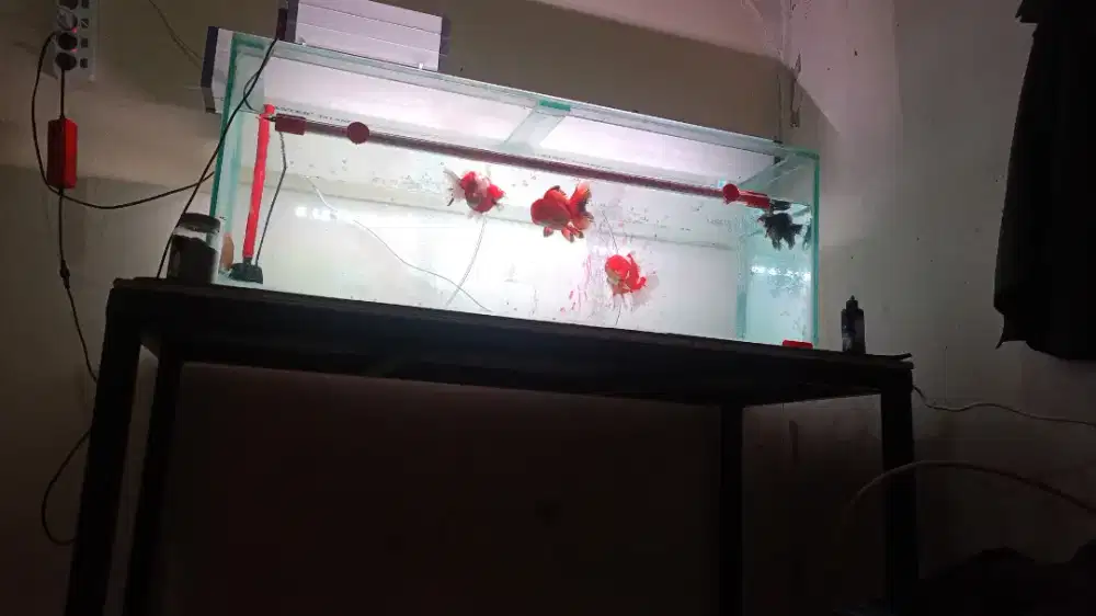 Aquarium 120x40x40 full 8mm