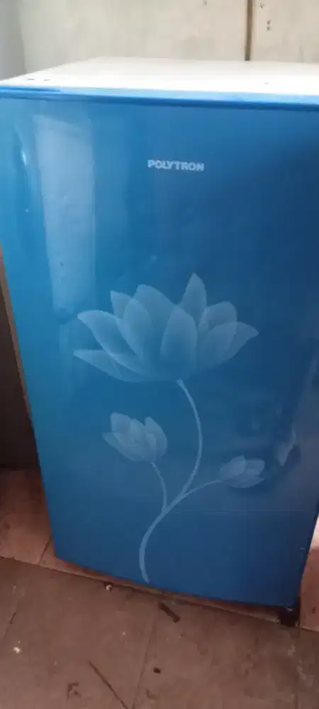 Politron belesa brg normal beku cepat