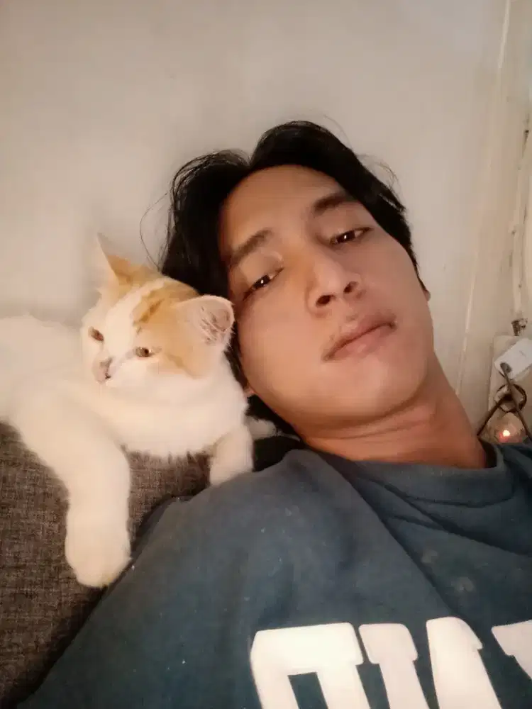 Cari pekerjaan apa saja