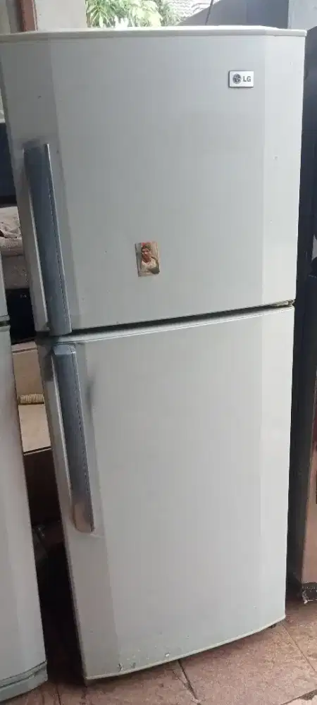 Lg orsinlan beku sgt cepat