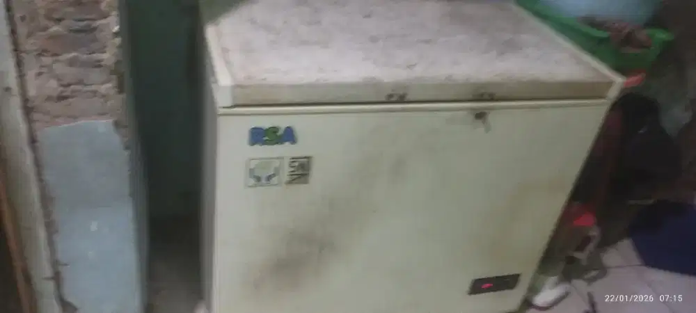 Freezer RSA 220L