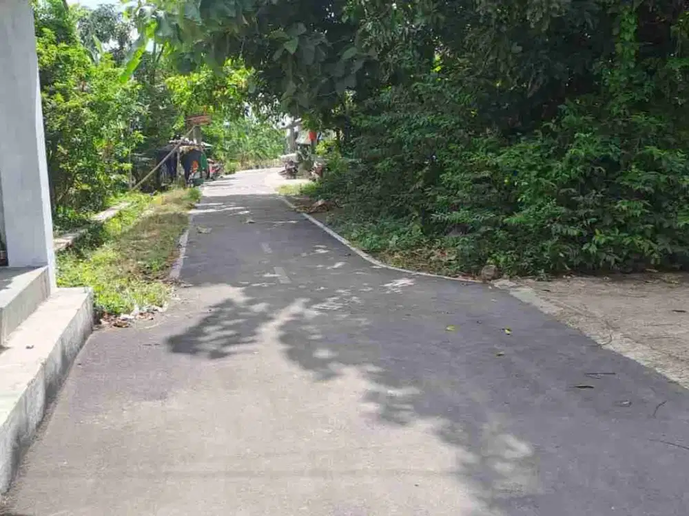 Dijual sawah murah di lumbung karep wonosari klaten