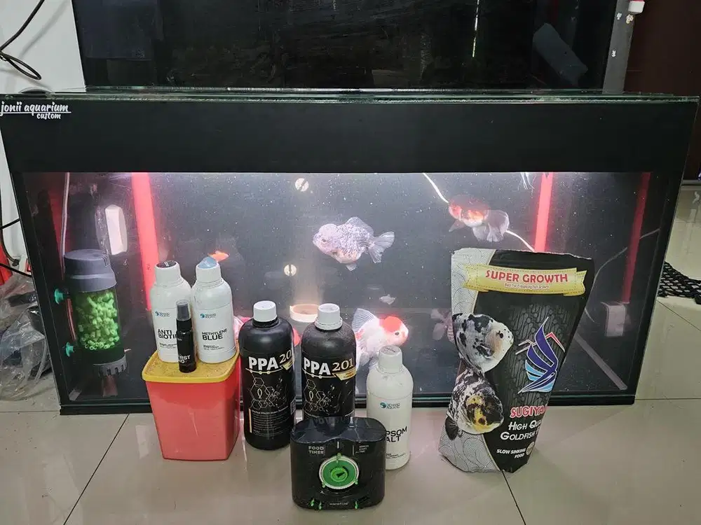 For Sale Aquarium By Joni Aquarium Custom