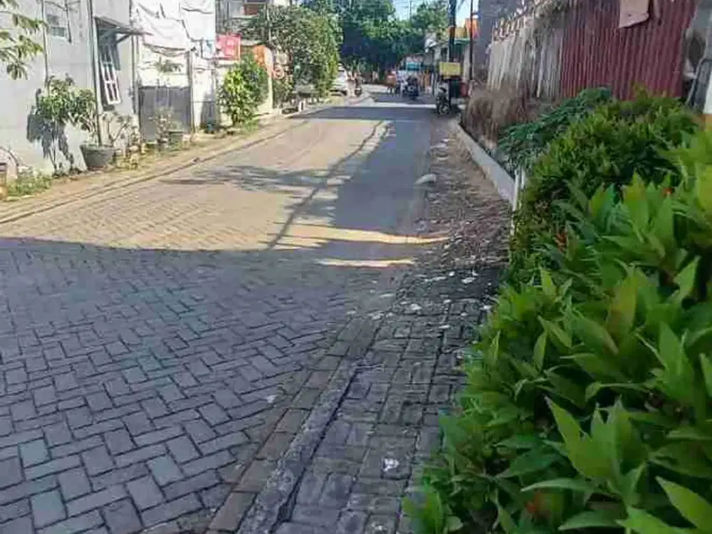 Tanah di Jual Cepat lokasi ring 1 kampus Undip