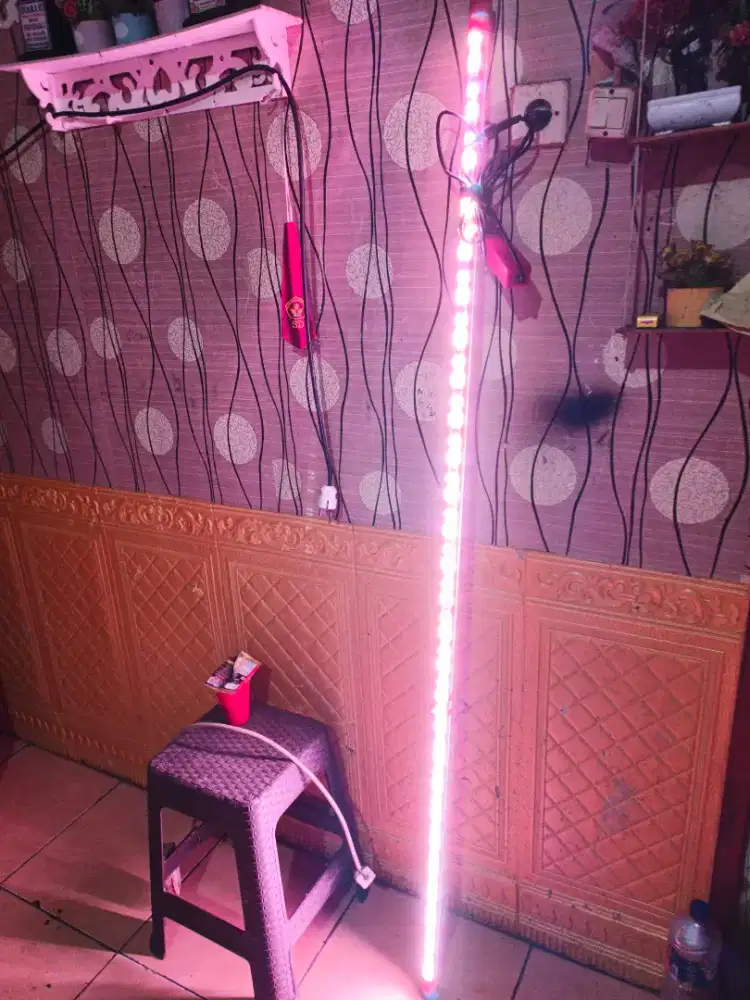 Lampu kolam ikan akuarium