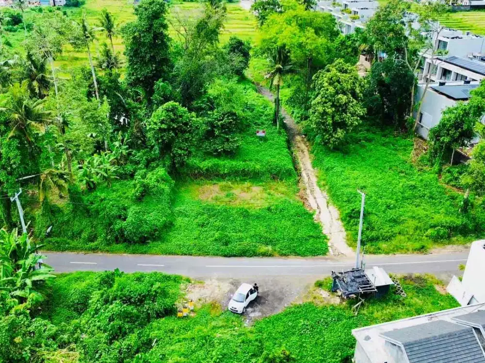 Tanah Sewa Jl Utama Pantai Nyanyi dekat Nuanu