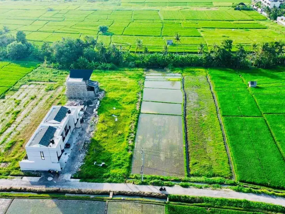 Disewakan Tanah Jl Pantai Kedungu