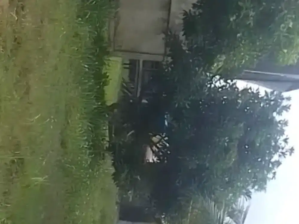 dijual tanah ukuran 12.500m2