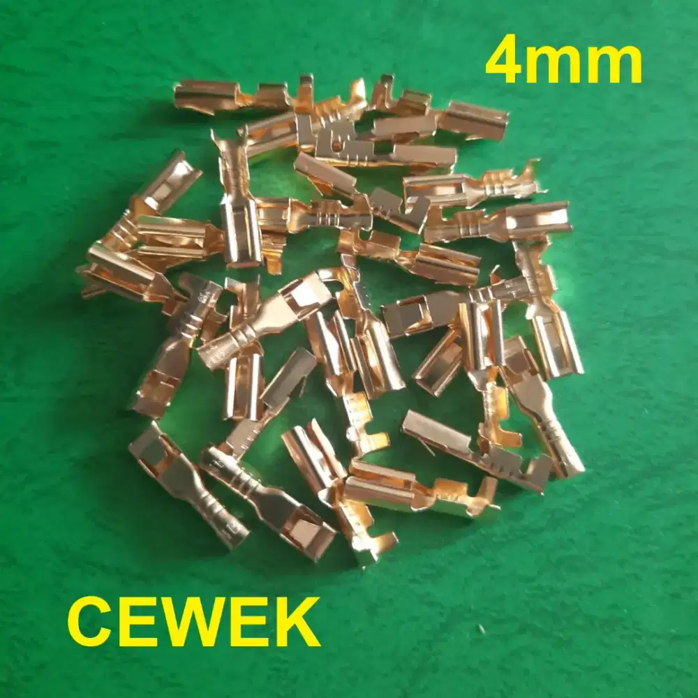 Skun atau Terminal Kabel