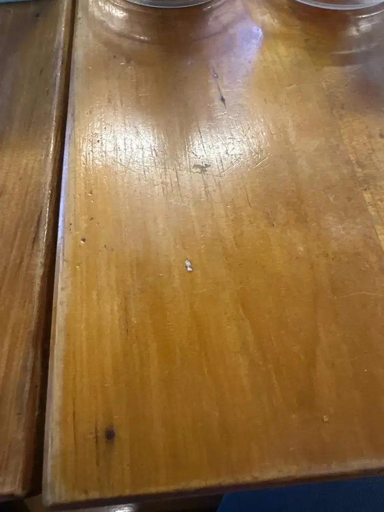 Di butuhkan art cewek