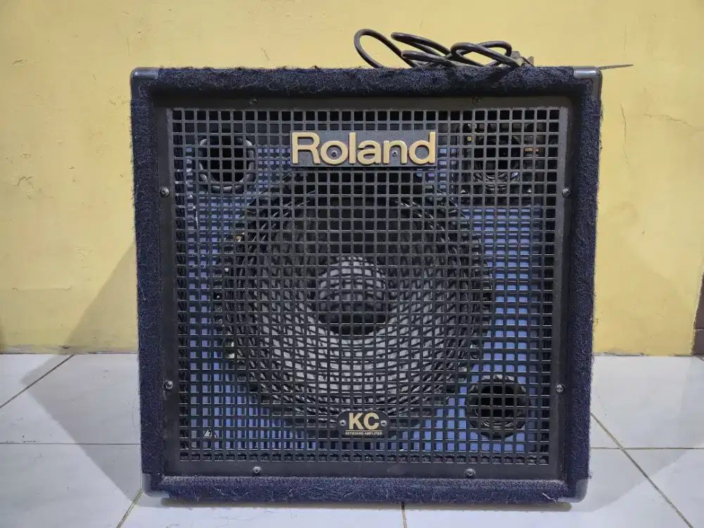 Speaker Roland KC 350