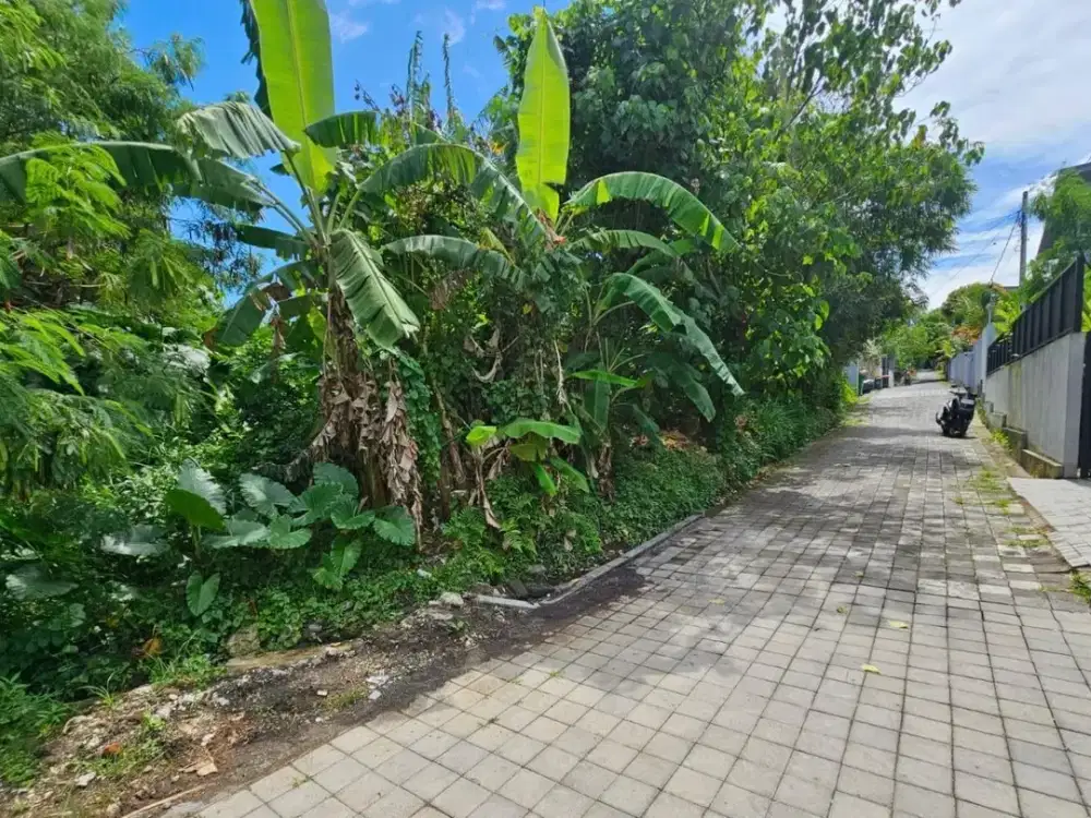 Tanah padang linjong canggu