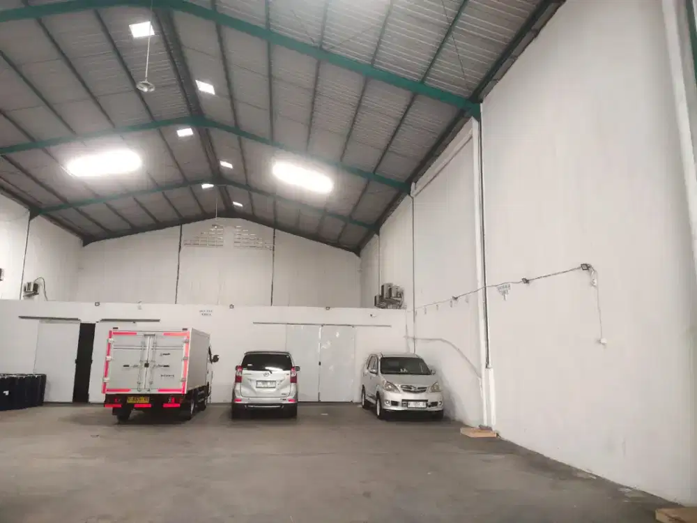 DICARI SALES/MARKETING