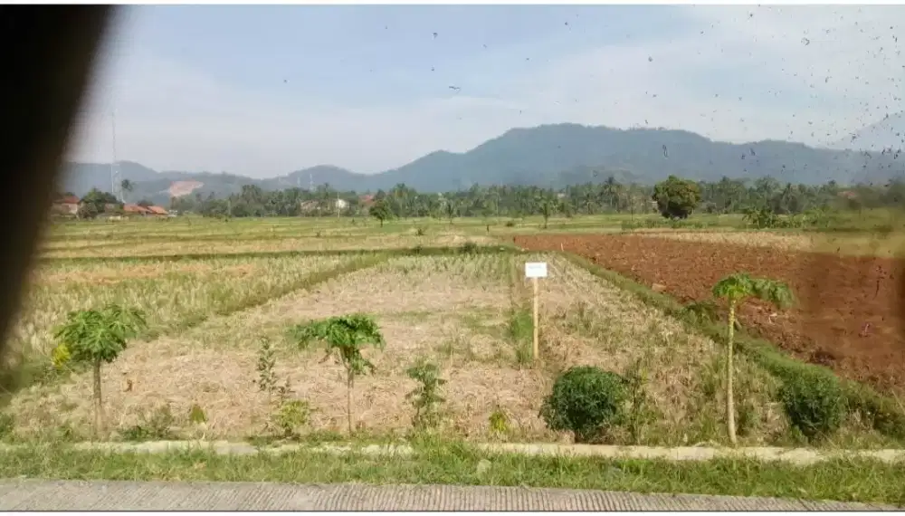 Tanah 305 m2 Cibeber Cianjur