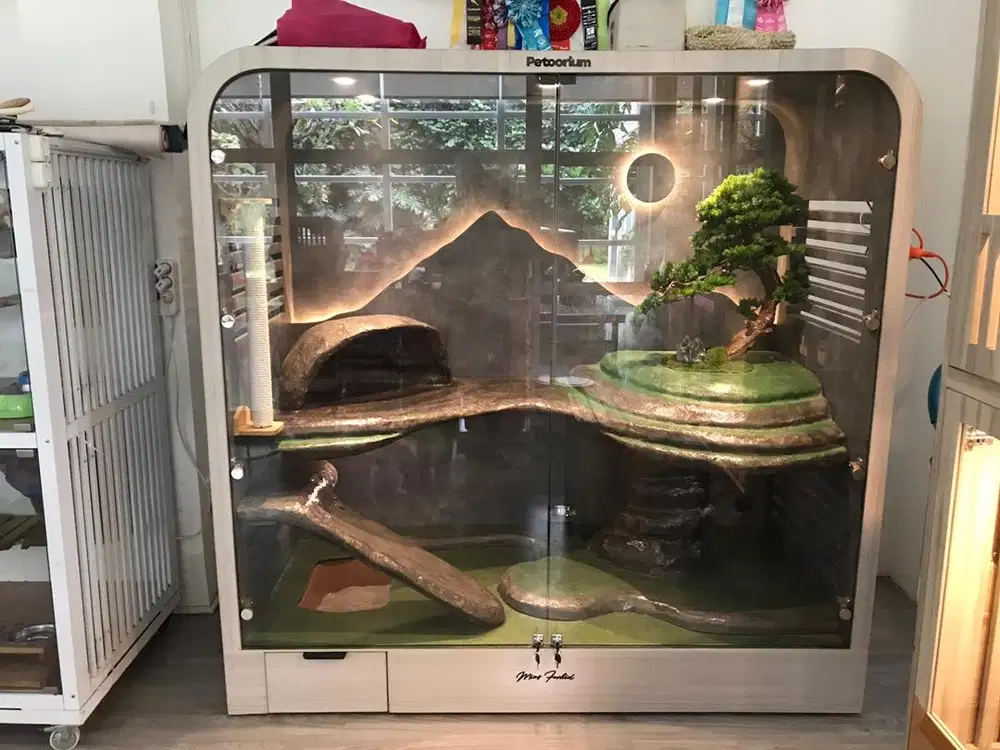 Playing ground jungle zen petorium