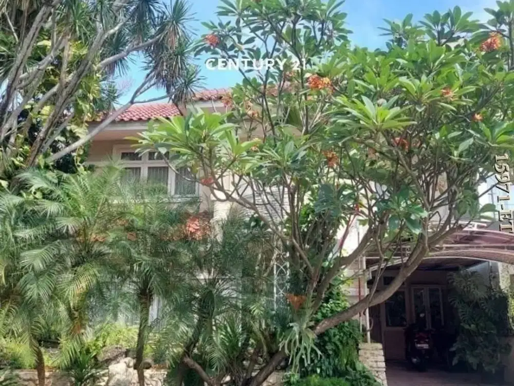 Dijual Rumah Asri, terawat, siap huni, atap sudah baja ringan, row jalan lebar, di cluster aman dan nyaman di sektor 9, Bintaro Jaya, Tangerang Selata