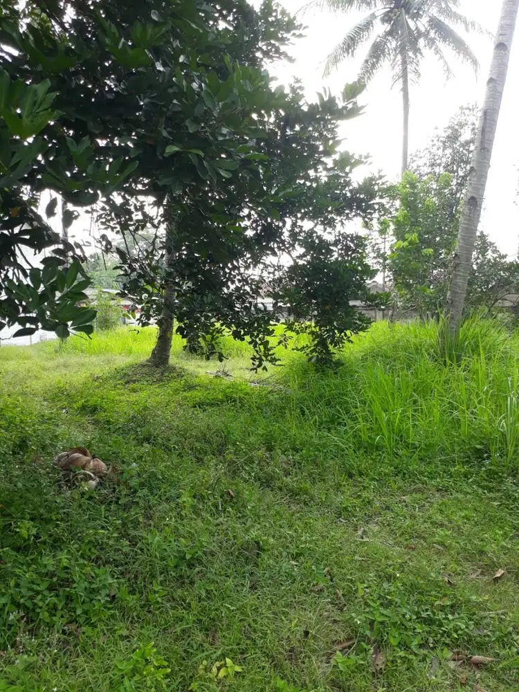 JUAL TANAH GANDOANG STRATEGIS