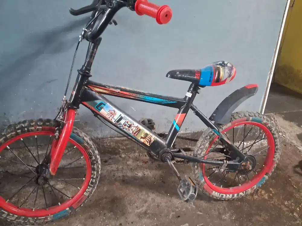 Sepede Anak Kondisi Apa adanya