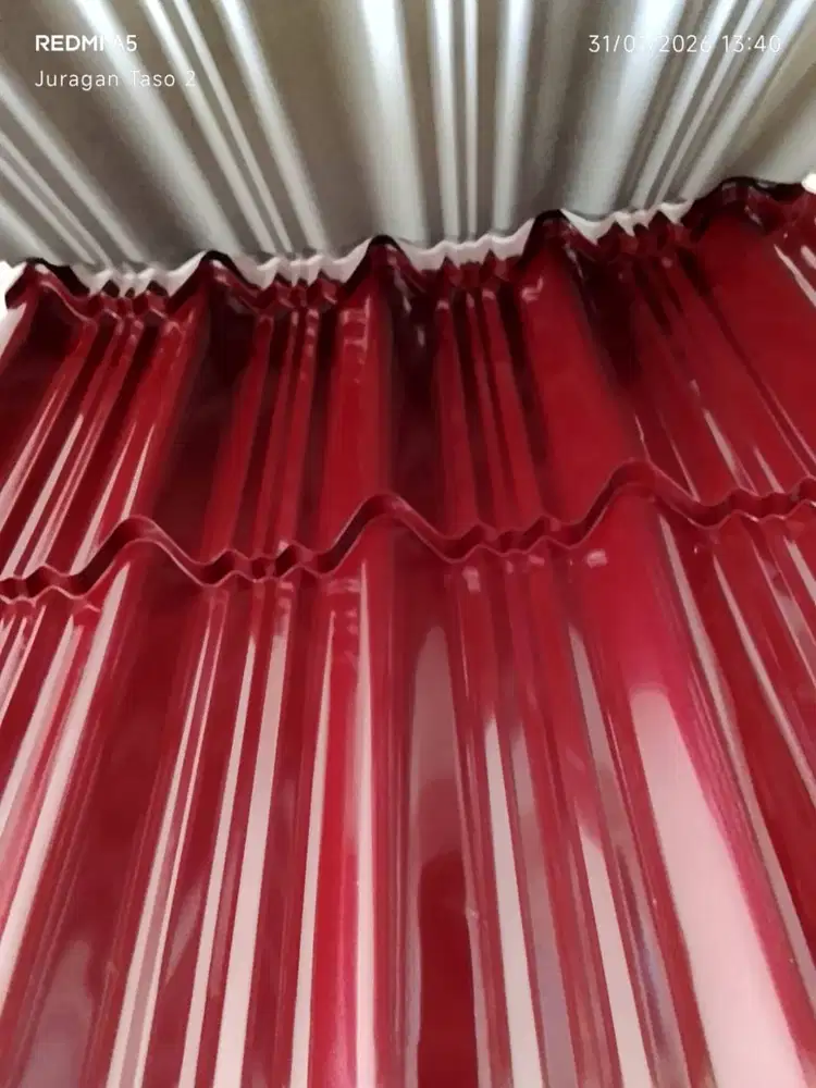 sakura elang maroon 0,30